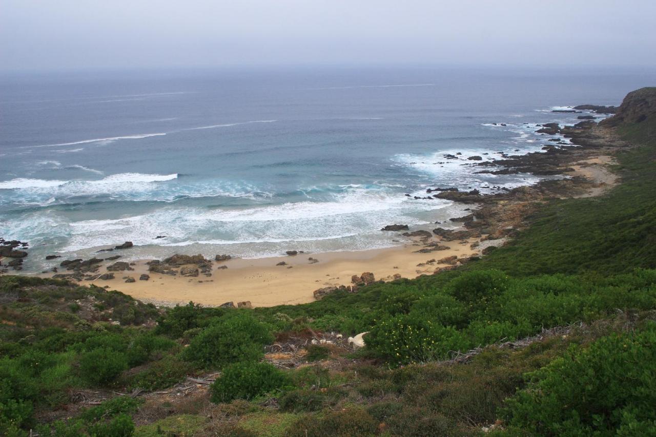 Pinnacle Point Beach & Golf - Penthouse & Villa Mossel Bay Exteriör bild